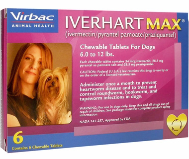Picture Iverhart MAX purple for small dogs