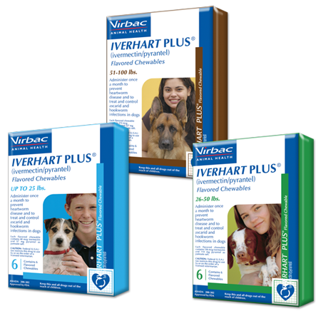 Picture Iverhart Plus Heartworm protection